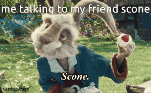 A Picture Of A Rabbit With The Caption " Me Talking To My Friend Scone " GIF