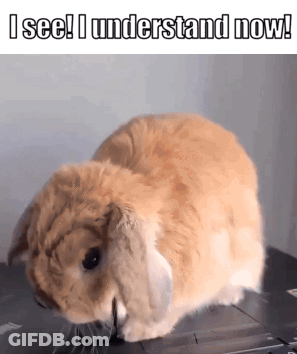 A Picture Of A Rabbit With The Words I See I Understand Now GIF