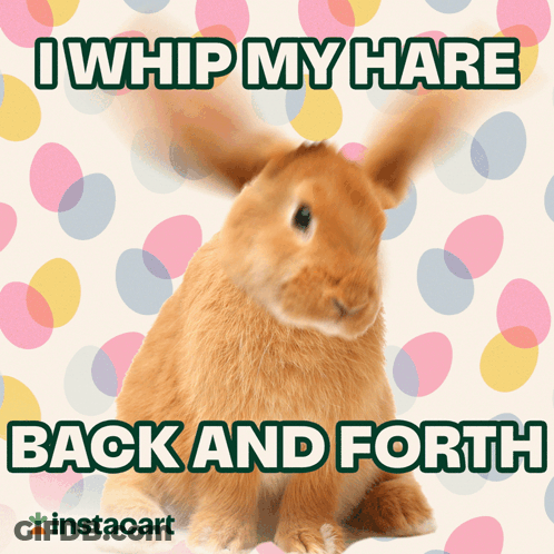 A Picture Of A Rabbit With The Words I Whip My Hare Back And Forth GIF