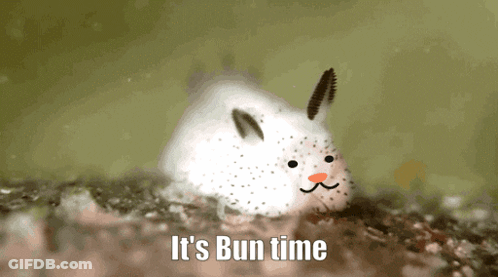 A Picture Of A Rabbit With The Words " It 'S Bun Time " Written Below It GIF