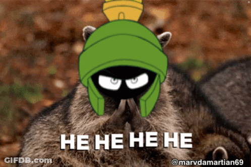 A Picture Of A Raccoon With A Marvin The Martian Hat On GIF