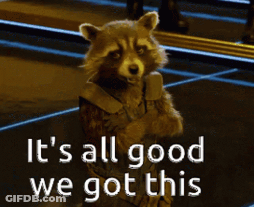 A Picture Of A Raccoon With The Words It 'S All Good We Got This Below It GIF