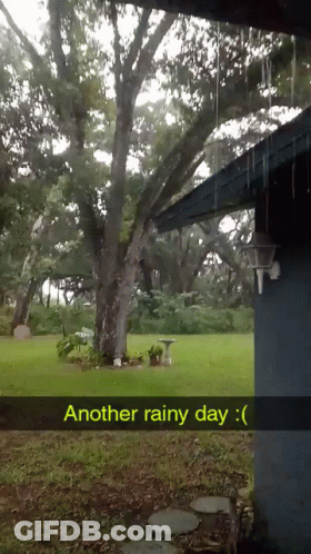 A Picture Of A Rainy Day With The Words Another Rainy Day GIF