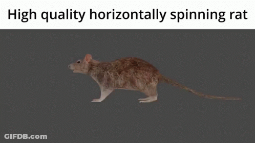 A Picture Of A Rat With The Words High Quality Horizontally Spinning Rat Above It GIF