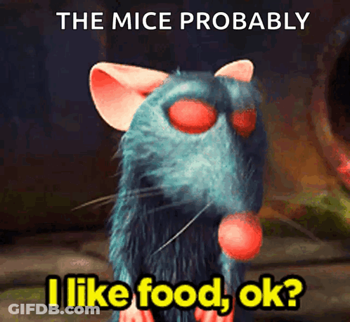 A Picture Of A Rat With The Words " The Mice Probably I Like Food Ok " GIF