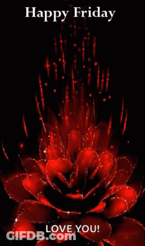 A Picture Of A Red Flower With The Words Happy Friday Love You GIF