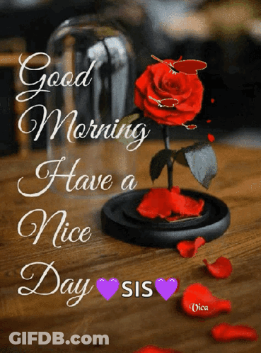 A Picture Of A Red Rose In A Glass Dome That Says Good Morning Have A Nice Day GIF