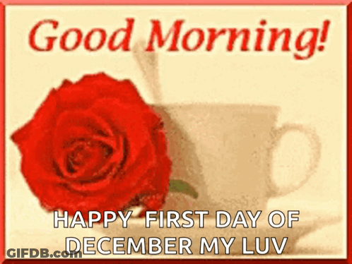 A Picture Of A Red Rose Next To A Cup Of Coffee With The Words Good Morning Happy First Day Of December My Luv GIF