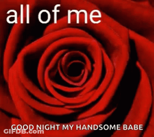 A Picture Of A Red Rose With The Words All Of Me Loves Good Night My Handsome Babe GIF