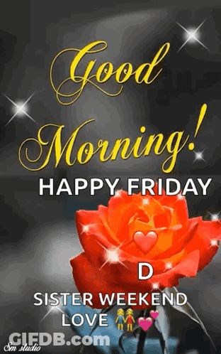 A Picture Of A Red Rose With The Words Good Morning Happy Friday GIF