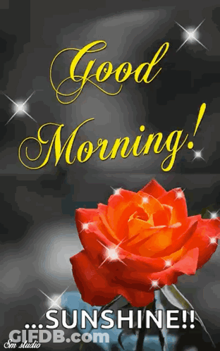 A Picture Of A Red Rose With The Words Good Morning Sunshine GIF