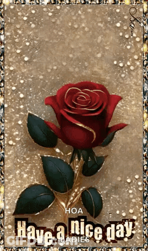 A Picture Of A Red Rose With The Words Have A Nice Day GIF