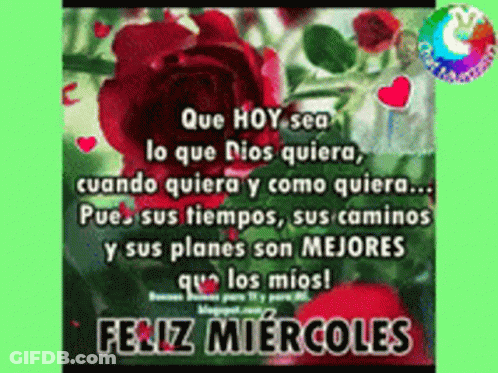 A Picture Of A Red Rose With The Words Que Hoy Sea Lo Que Dios Quiera Cuando Quiera Y Como Quiera .. GIF