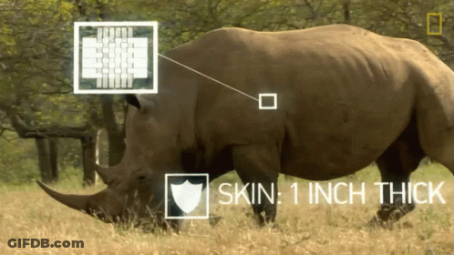 A Picture Of A Rhino With The Words Skin 1 Inch Thick On The Bottom GIF