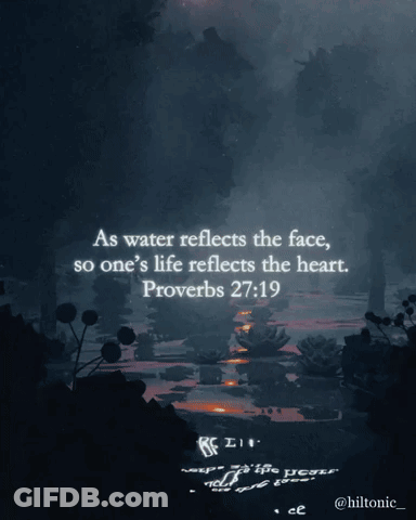 A Picture Of A River With A Quote From Proverbs GIF