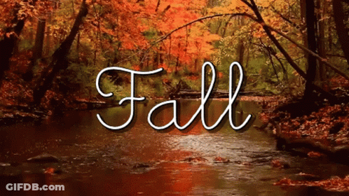A Picture Of A River With The Word Fall On It GIF