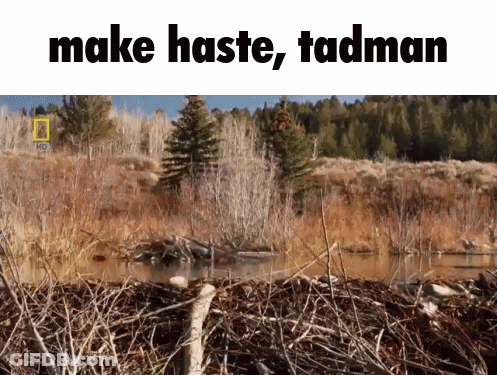 A Picture Of A River With The Words Make Haste Tadman GIF