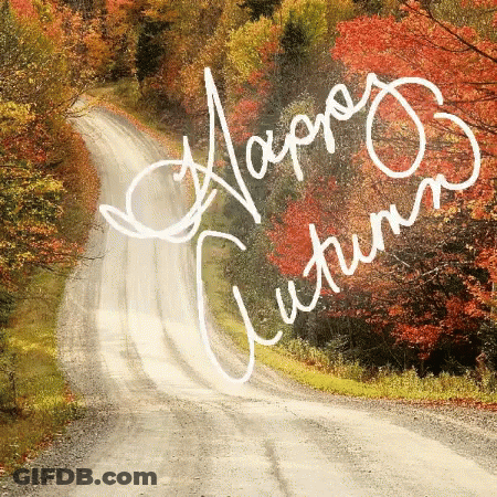 A Picture Of A Road With The Words Happy Autumn On It GIF
