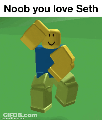 A Picture Of A Roblox Character That Says Noob You Love Seth Made With Mematic GIF