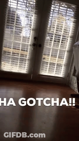 A Picture Of A Room With The Words " Ha Gotcha " On The Bottom GIF