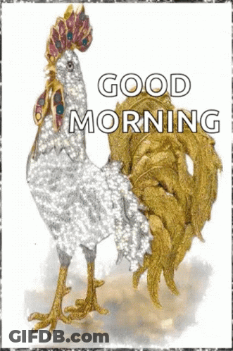 A Picture Of A Rooster With The Words Good Morning GIF