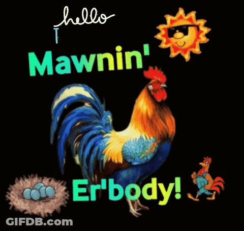 A Picture Of A Rooster With The Words Hello Thur Mawnin ' Er'body GIF