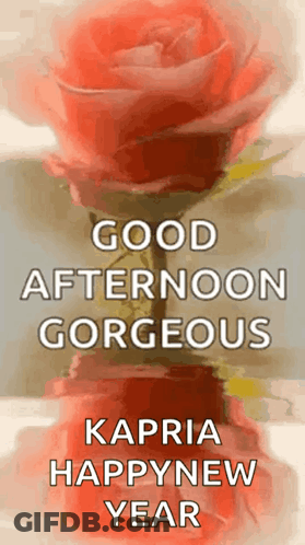 A Picture Of A Rose With The Words `` Good Afternoon Gorgeous Kapria Happynew Year '' GIF