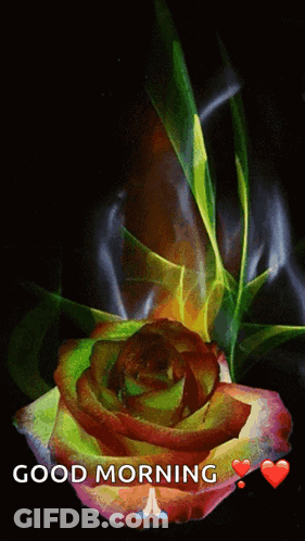 A Picture Of A Rose With The Words Good Morning On It GIF