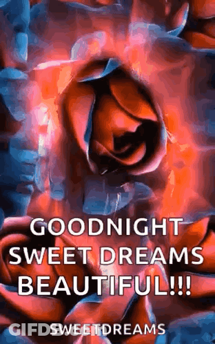A Picture Of A Rose With The Words `` Goodnight Sweet Dreams Beautiful !! '' GIF