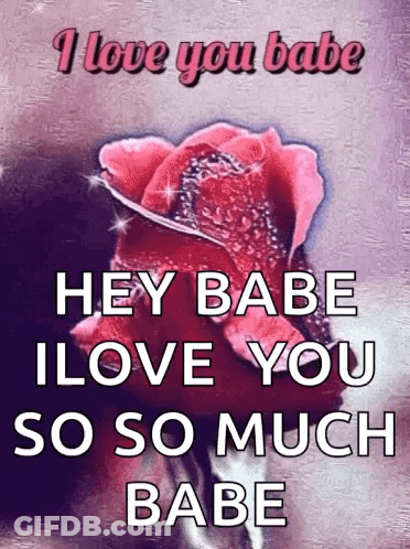 A Picture Of A Rose With The Words I Love You Babe GIF