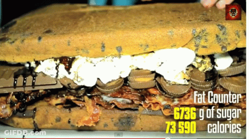 A Picture Of A Sandwich With The Words Fat Counter On It GIF