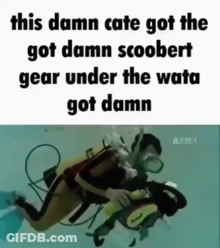 A Picture Of A Scuba Diver With The Caption This Damn Cate Got The Got Damn Scoobert Gear Under The Wata Got Damn . GIF
