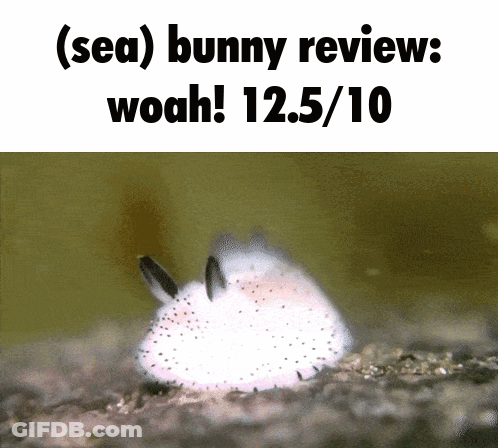 A Picture Of A Sea Bunny With The Caption " Sea Bunny Review Woah ! 12.5 / 10 " GIF