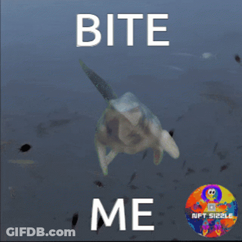 A Picture Of A Sea Turtle With The Words Bite Me Below It GIF