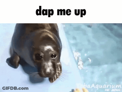 A Picture Of A Seal That Says " Dap Me Up " On It GIF