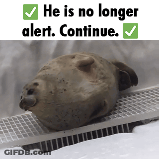 A Picture Of A Seal That Says He Is No Longer Alert GIF
