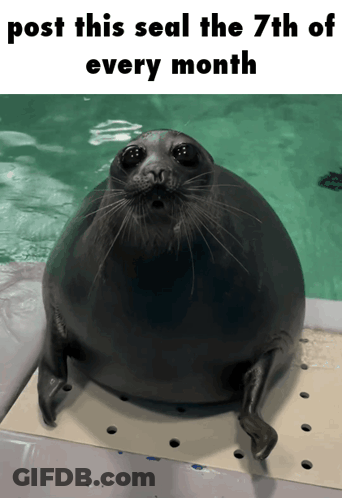 A Picture Of A Seal With A Caption That Reads Post This Seal The 7Th Of Every Month GIF