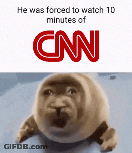 A Picture Of A Seal With Cnn Written On It GIF