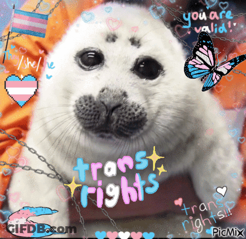 A Picture Of A Seal With The Words " Trans Rights " On It GIF
