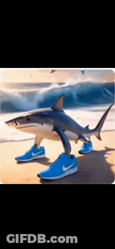 A Picture Of A Shark Wearing Blue Nike Shoes GIF