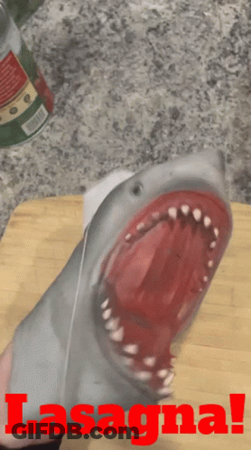 A Picture Of A Shark With Its Mouth Open And The Word Lasagna In Red GIF