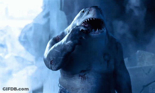 A Picture Of A Shark With The Word Bo On The Bottom Left GIF