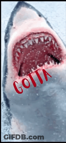 A Picture Of A Shark With The Word Gotta Written In Red GIF
