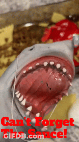 A Picture Of A Shark With The Words " Can 'T Forget The Sauce " On The Bottom GIF