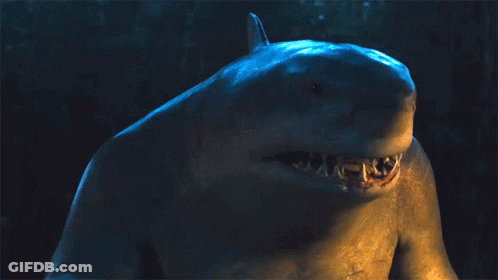 A Picture Of A Shark With The Words F ### % K Written On It GIF