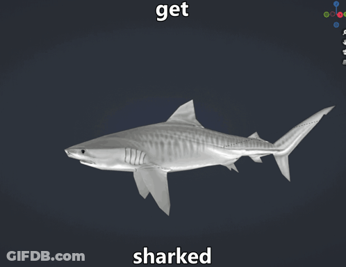 A Picture Of A Shark With The Words Get Sharked Below It GIF