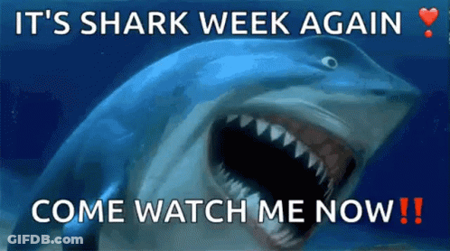 A Picture Of A Shark With The Words " It 'S Shark Week Again Come Watch Me Now " Below It GIF