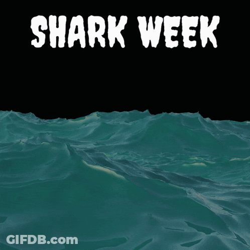 A Picture Of A Shark With The Words Shark Week Written Above It GIF