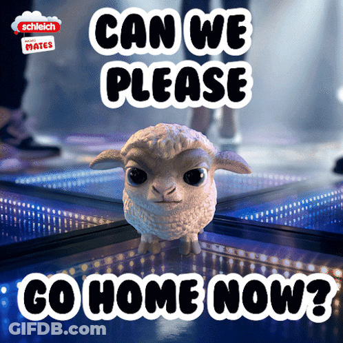 A Picture Of A Sheep With The Words Can We Please Go Home Now Below It GIF