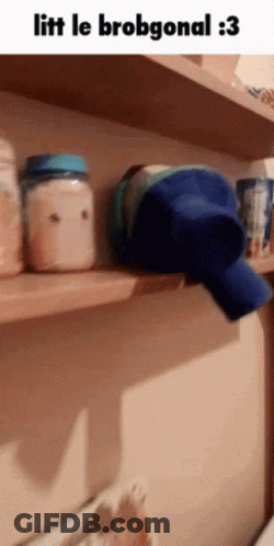 A Picture Of A Shelf With A Bottle On It And The Words Litt Le Brobgonal : 3 GIF
